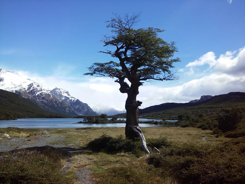 Splendide nature (Argentine)