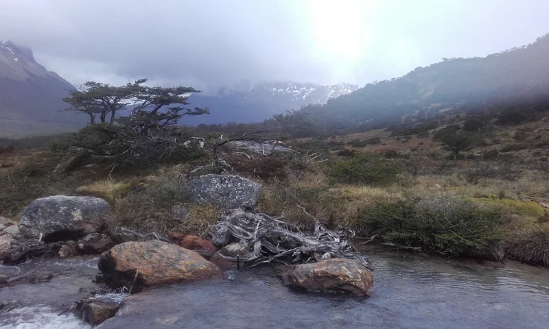 Tout au sud de la planète (Argentine)