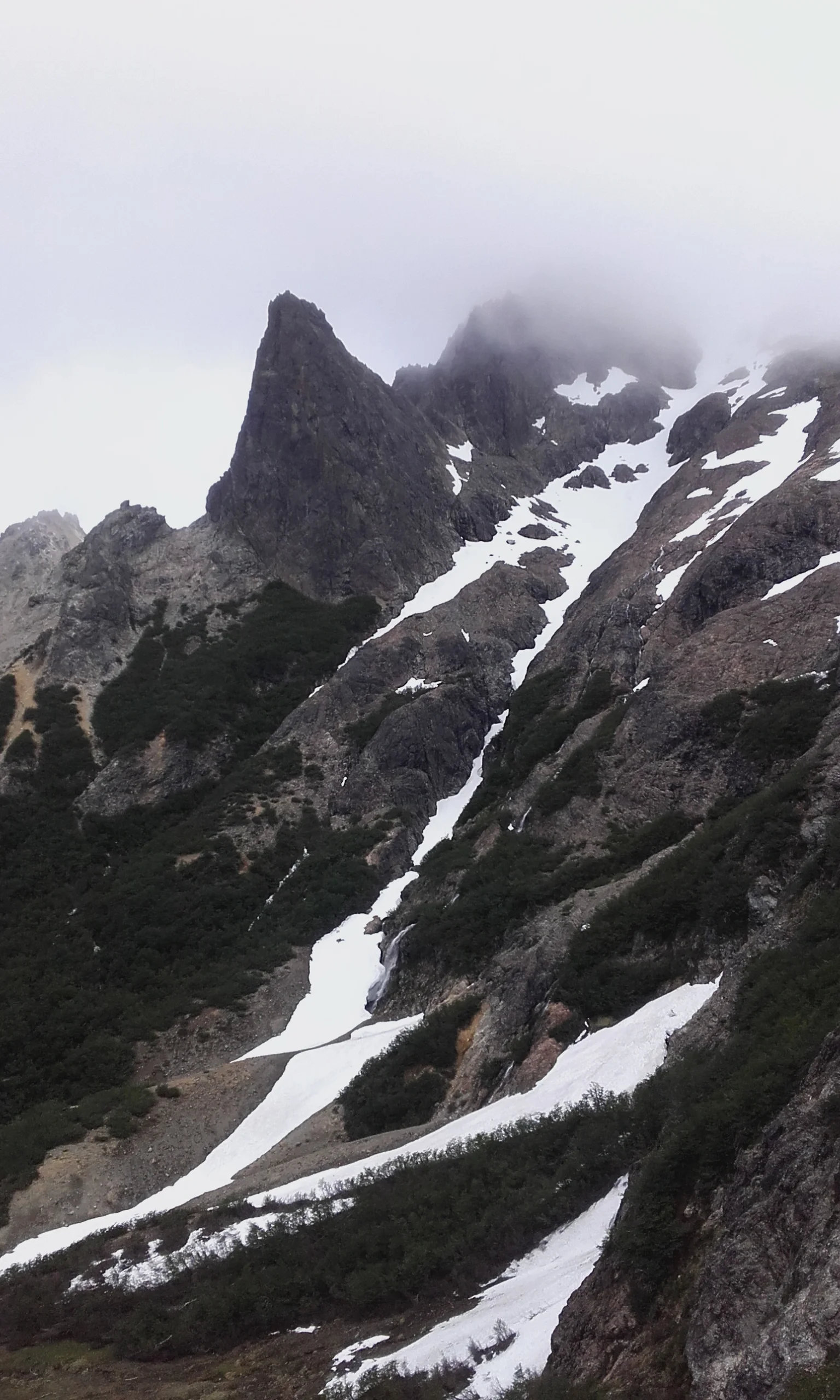 Nature abrupte (Argentine)