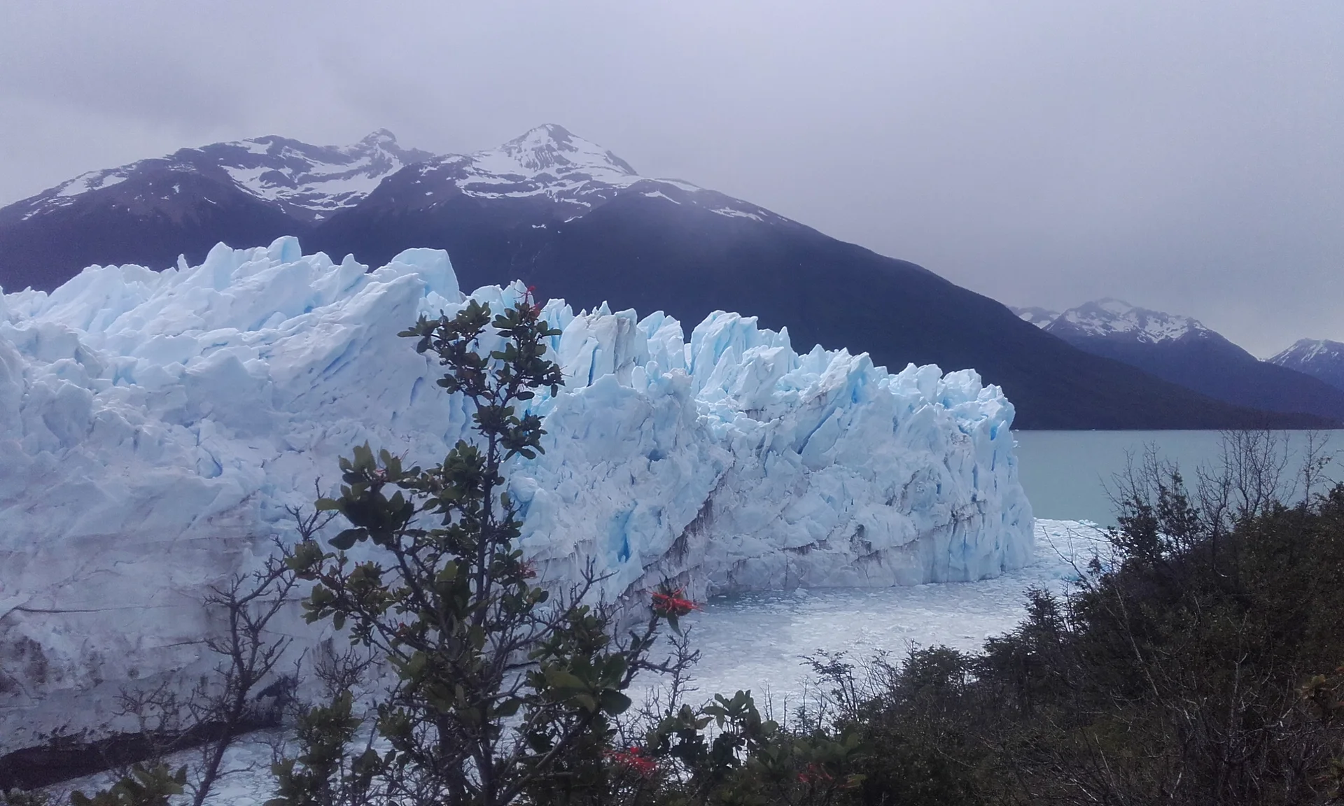 Perrito moreno — El Calafate (Argentine)