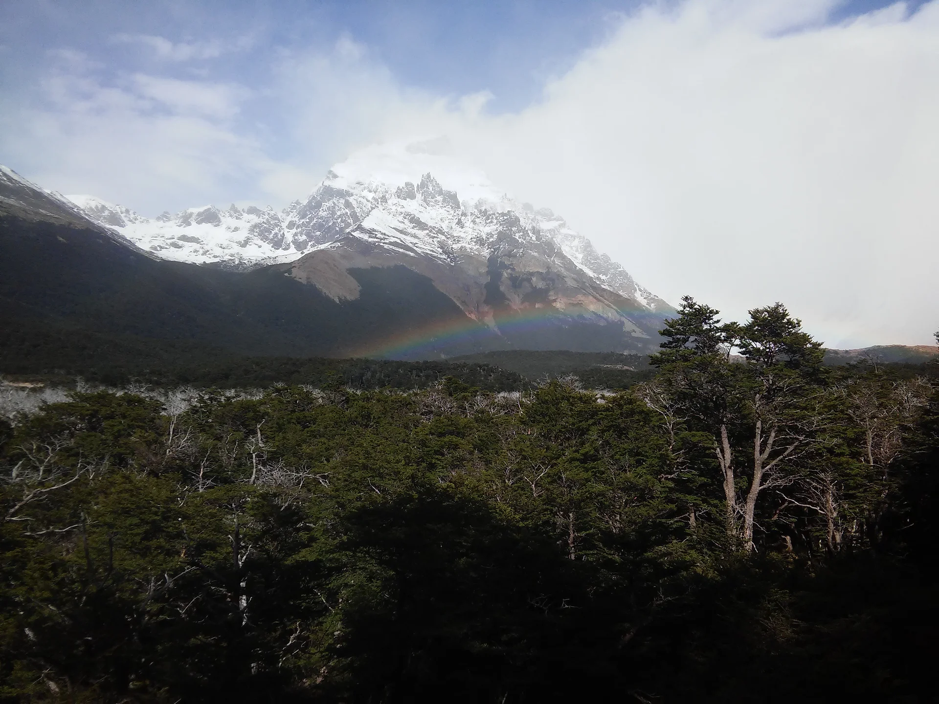 Dans le parc (Argentine)
