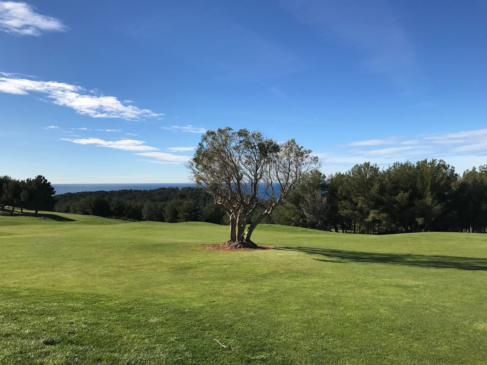 Trou n°12 — Golf de Dolce Frégate Provence (France)