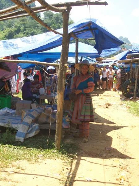 100_2813 (Viêt Nam)