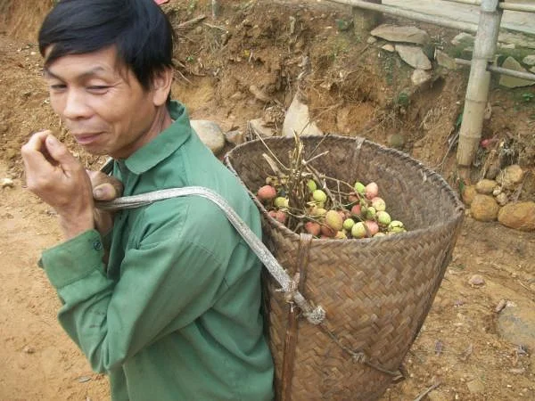 100_2487 100_2487 (Viêt Nam)