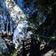 Coit Tower