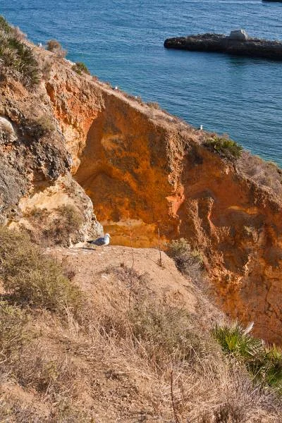 Terres ocres de l'Algarve — Portimão (Portugal)