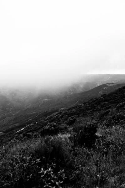 Qui grimpe sur les collines (Portugal)