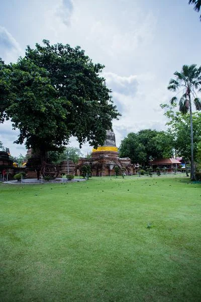 Temple Wat Yai Chai Mongkol