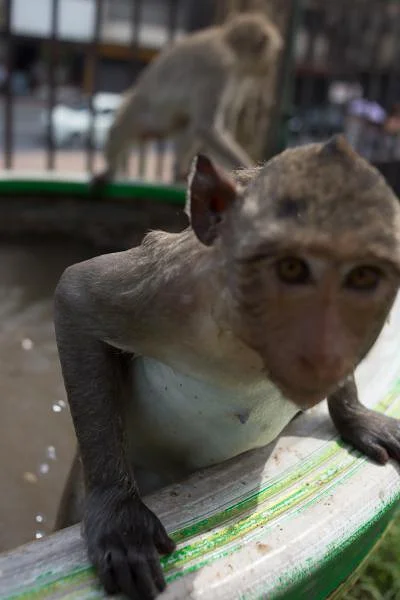Lopburi — Lop Buri (Thaïlande)