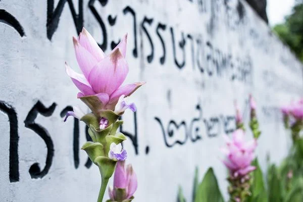 Nong Khai — Nong Khai (Thaïlande)