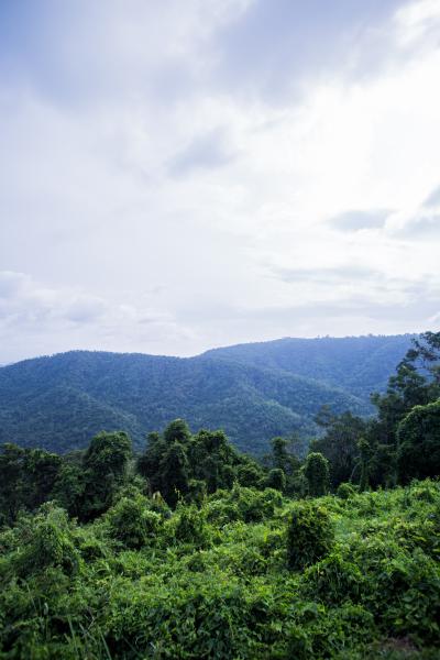 Parc national Khao Yai 