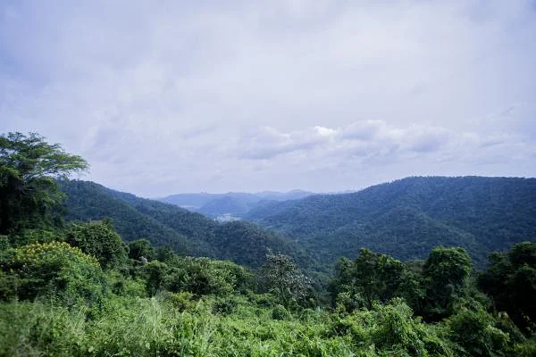 Khao Yai 