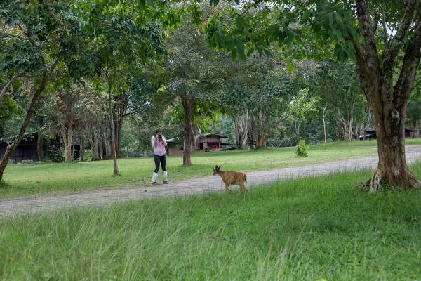 Khao Yai  — Parc national de Khao Yai (Thaïlande)
