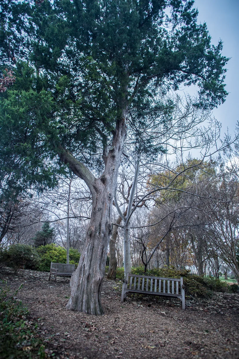 USA2016 115 — Dallas Arboretum and Botanical Garden (Etats-Unis)