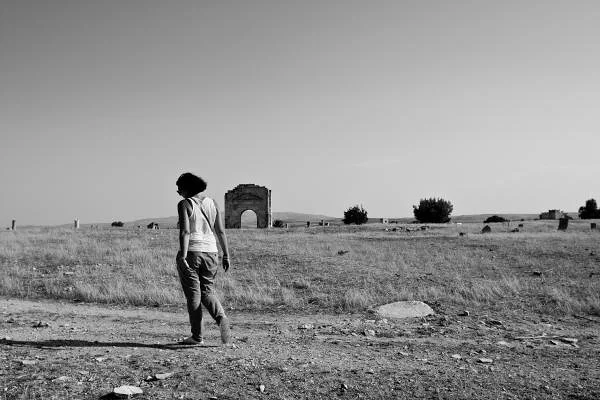 Plaine tunisienne (Tunisie)