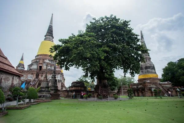 Ayutthaya — Temple Wat Yai Chai Mongkol (Thaïlande)
