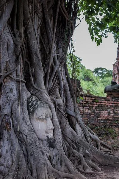 Ayutthaya — Temple Wat Phra Mahathat (Thaïlande)