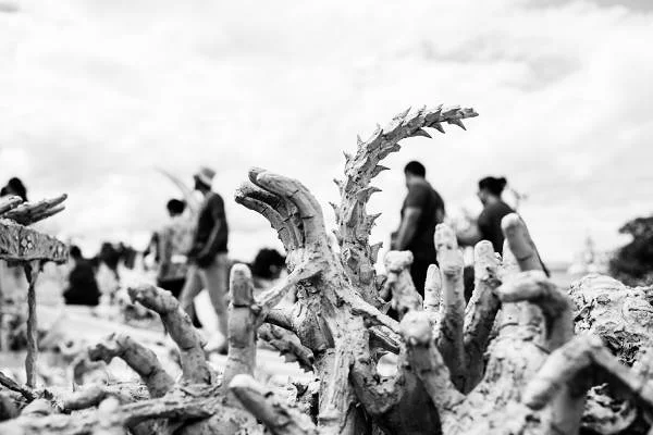 Entrée — Temple Wat Rong Khun (Thaïlande)