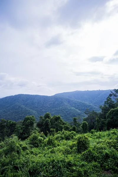 Khao Yai  — Parc national de Khao Yai (Thaïlande)