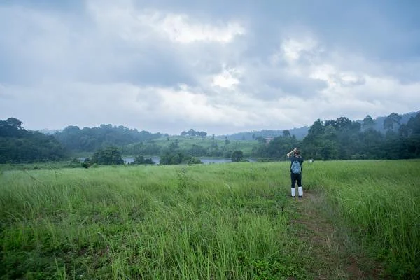Khao Yai  — Parc national de Khao Yai (Thaïlande)