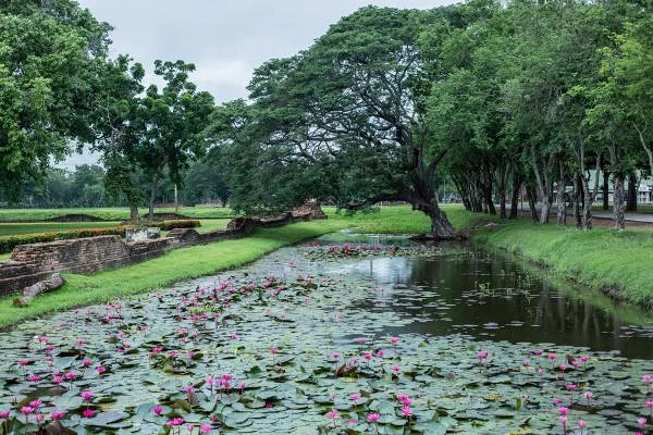 Sukhothai — Sukhothai (Thaïlande)