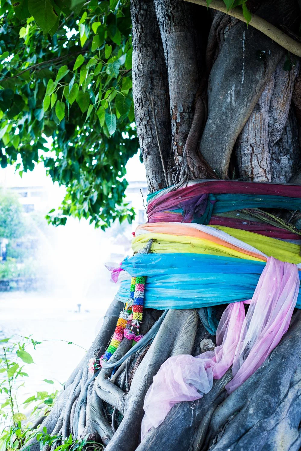 Chiang Mai — Chiang Mai (Thaïlande)