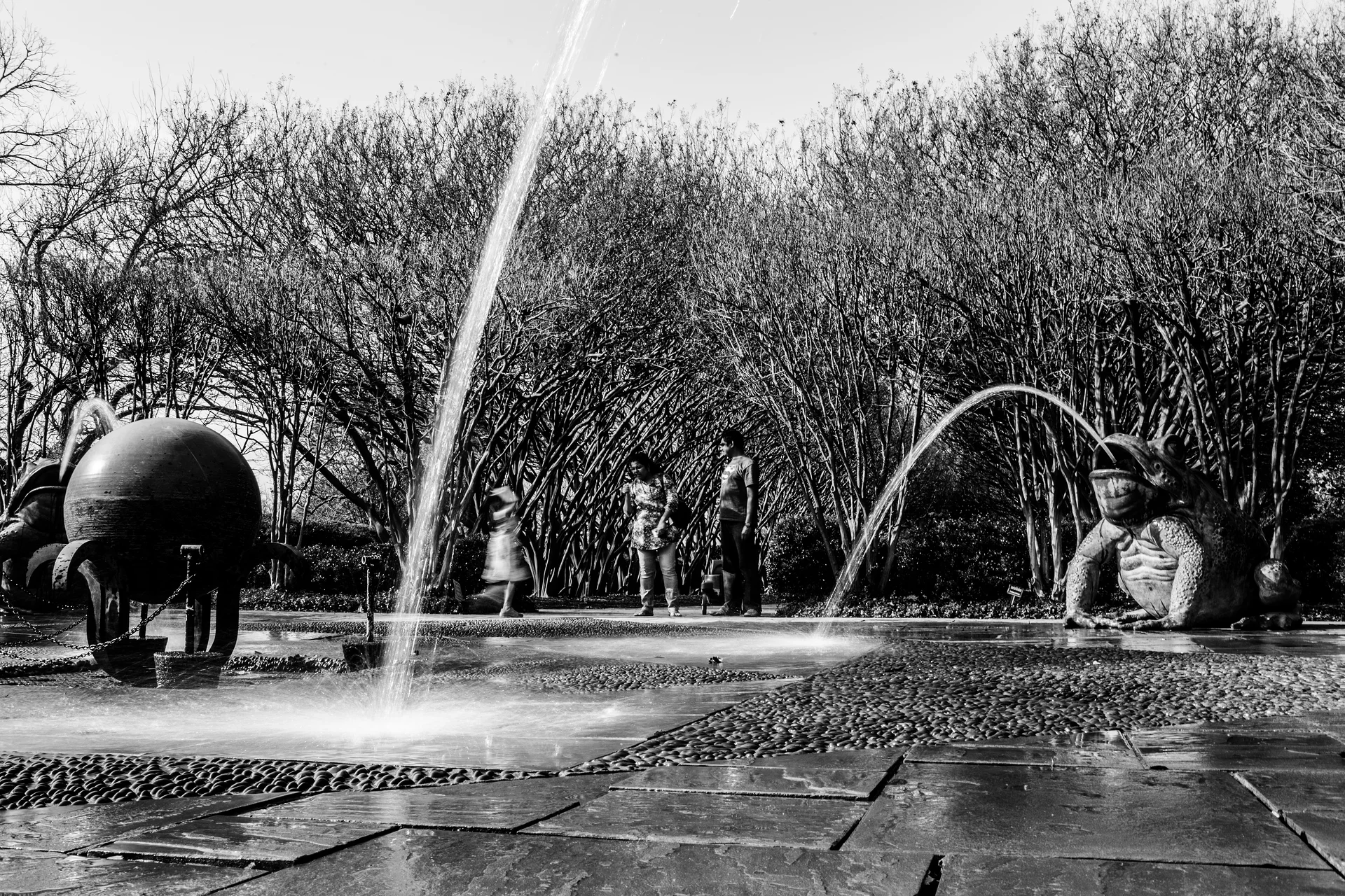 USA2016 100 — Dallas Arboretum and Botanical Garden (Etats-Unis)