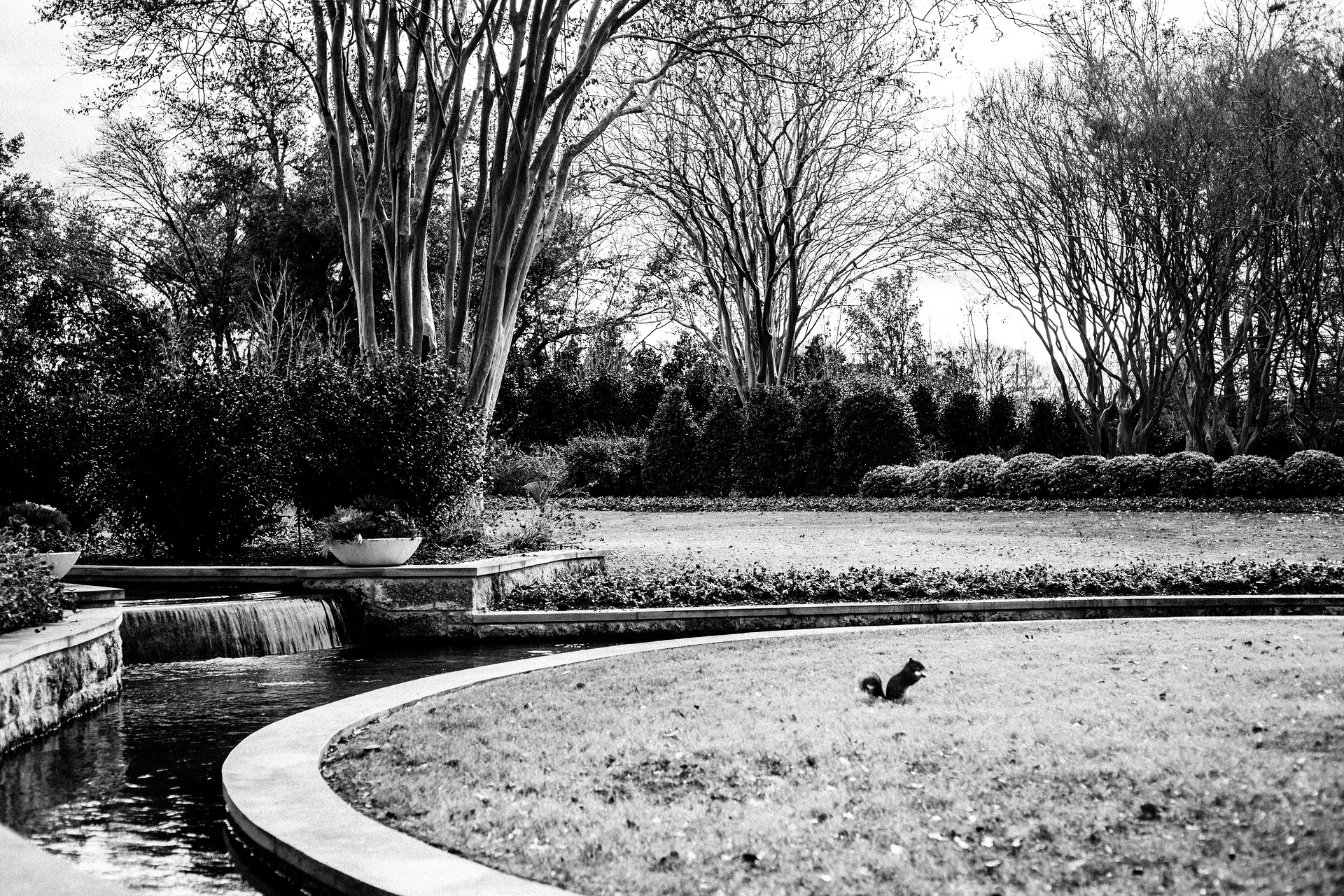 USA2016 106 — Dallas Arboretum and Botanical Garden (Etats-Unis)