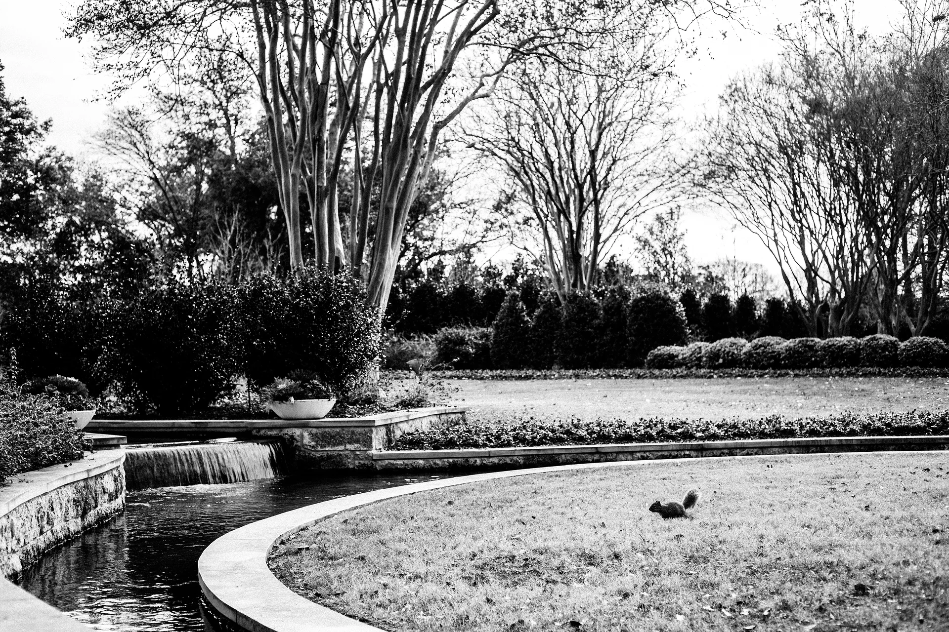 USA2016 107 — Dallas Arboretum and Botanical Garden (Etats-Unis)