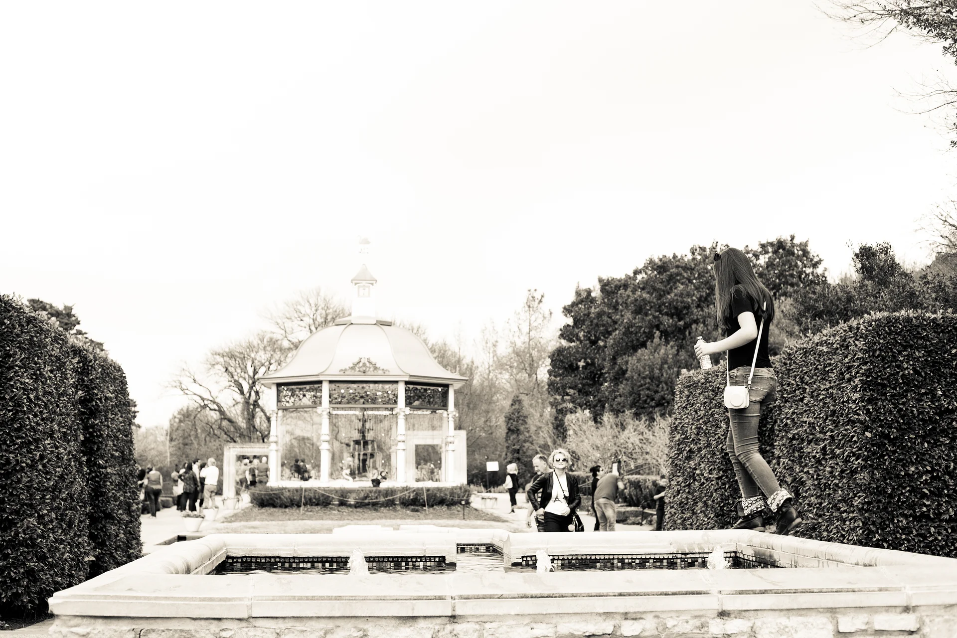 USA2016 118 — Dallas Arboretum and Botanical Garden (Etats-Unis)