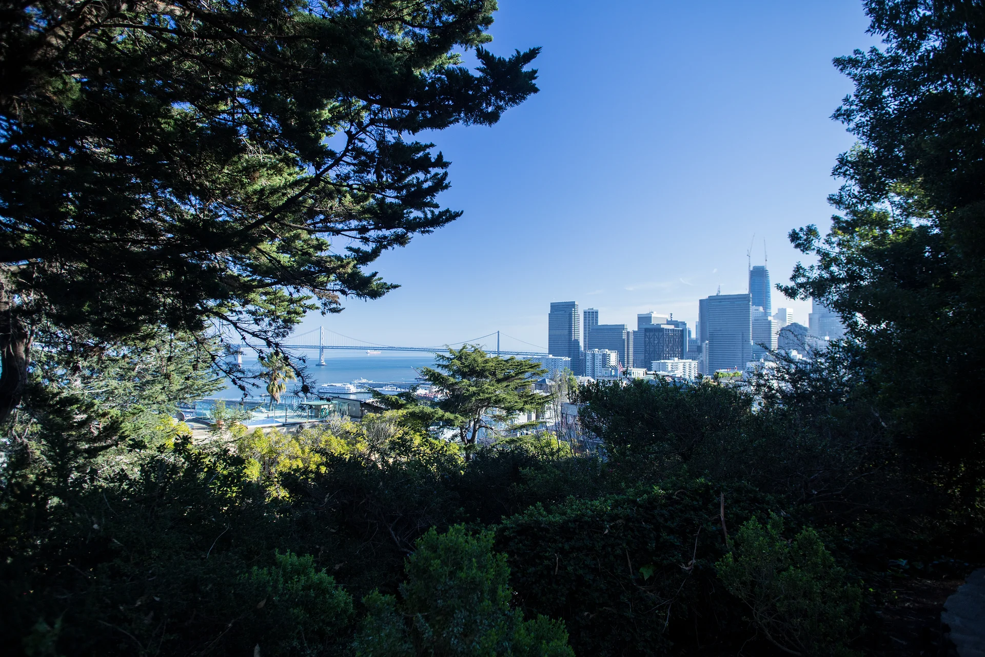 USA2016 137 — San Francisco (Etats-Unis)