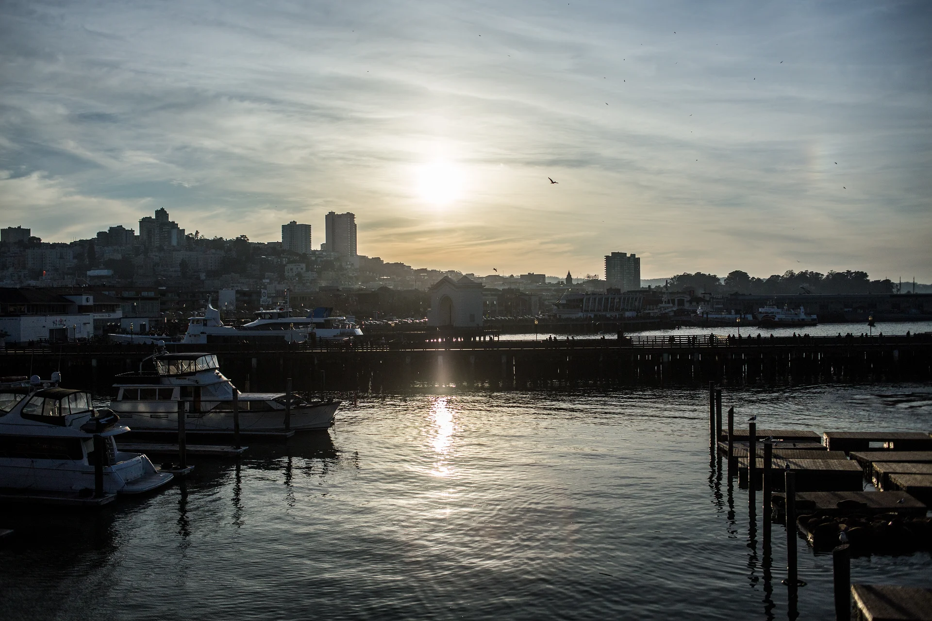 USA2016 143 — San Francisco (Etats-Unis)