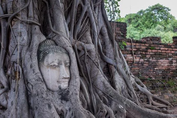 Temples et parc historique d'Ayutthaya