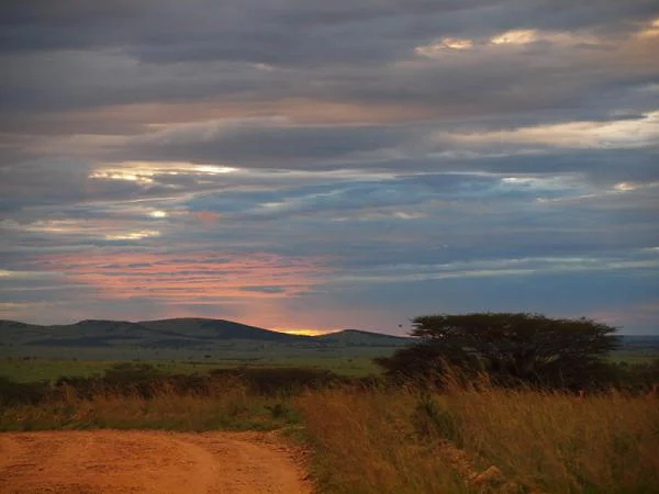 Les couleurs du Masai Mara — Réserve Masai Mara (Kenya)