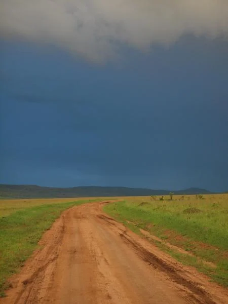 Piste aménagé dans la savane — Réserve Masai Mara (Kenya)
