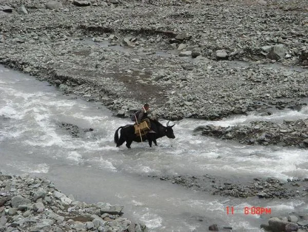 Traversée d'une rivière (Inde)