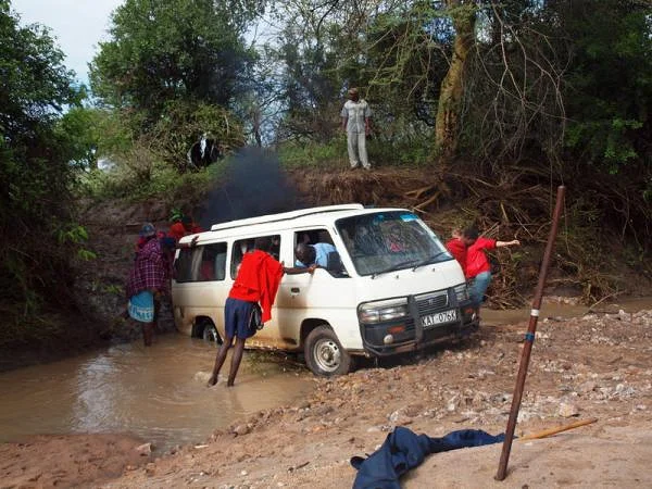 Traversée d'un cours d'eau — Réserve Masai Mara (Kenya)