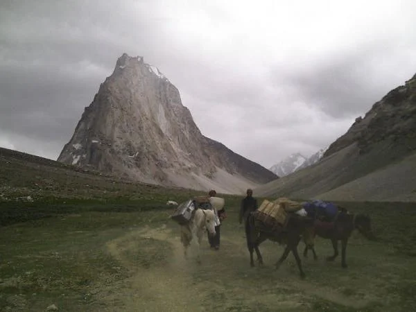 Les mules Les mules (Inde)