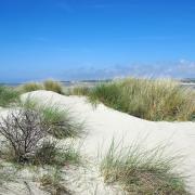 Le Touquet Paris-Plage