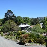 Dunedin
