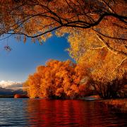 Twizel