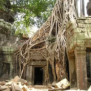 Temples d'Angkor