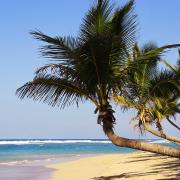 Punta Cana