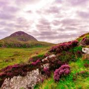 Parc national du Connemara