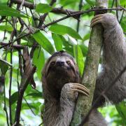Parc National Manuel Antonio