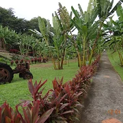 Musée de la Banane de Sainte-Marie