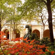 Musée des Beaux-Arts de Lyon