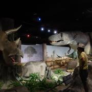 Musée d'histoire naturelle de Las Vegas