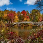 Central Park de New-York