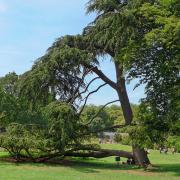 Parc Montsouris